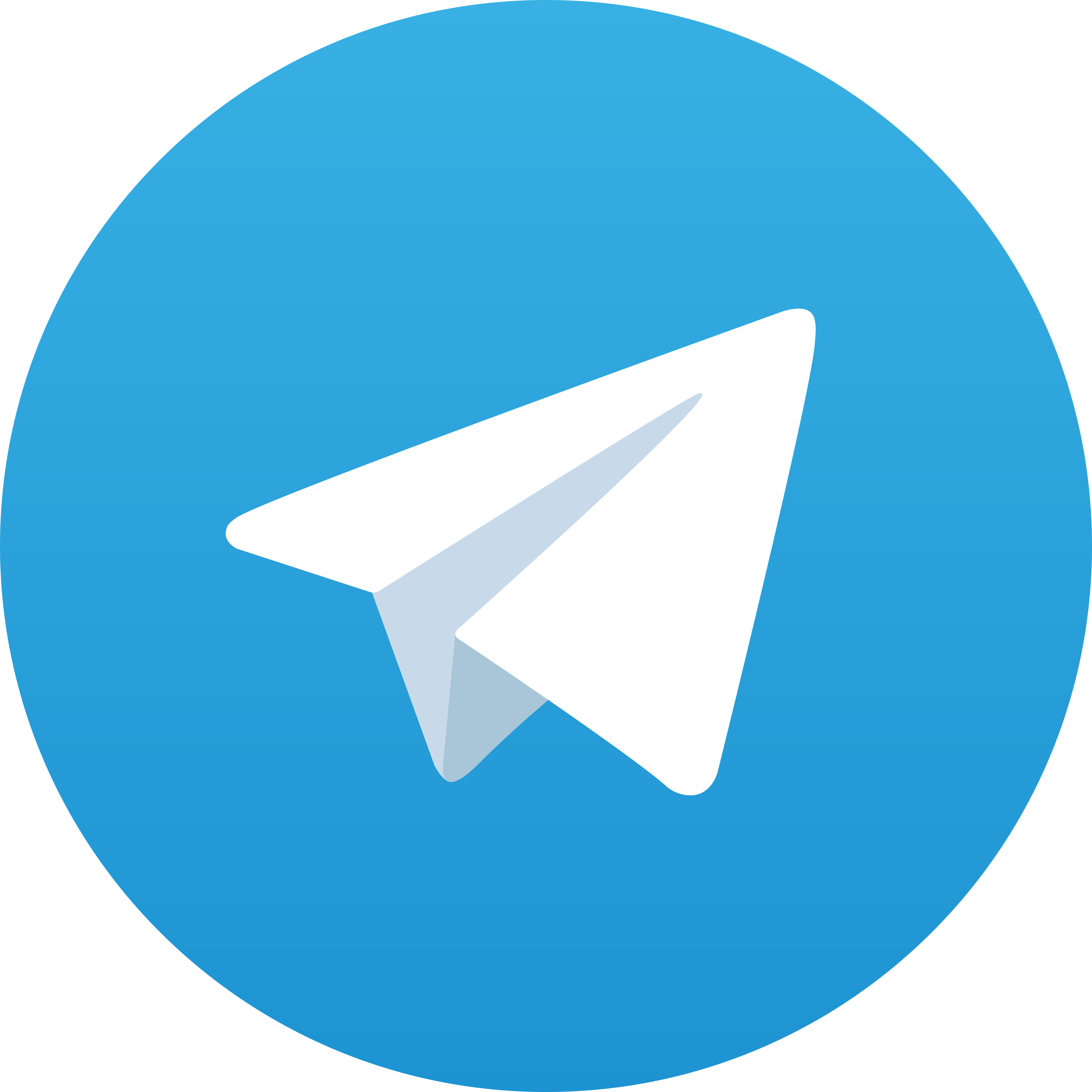 Telegram Brody88